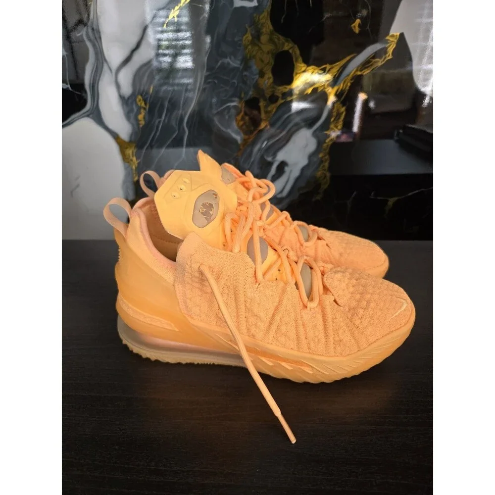 Nike lebron 18